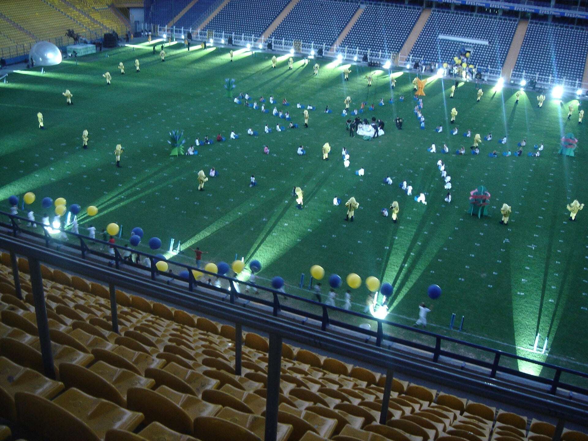 Fenerbahce Soleni 39