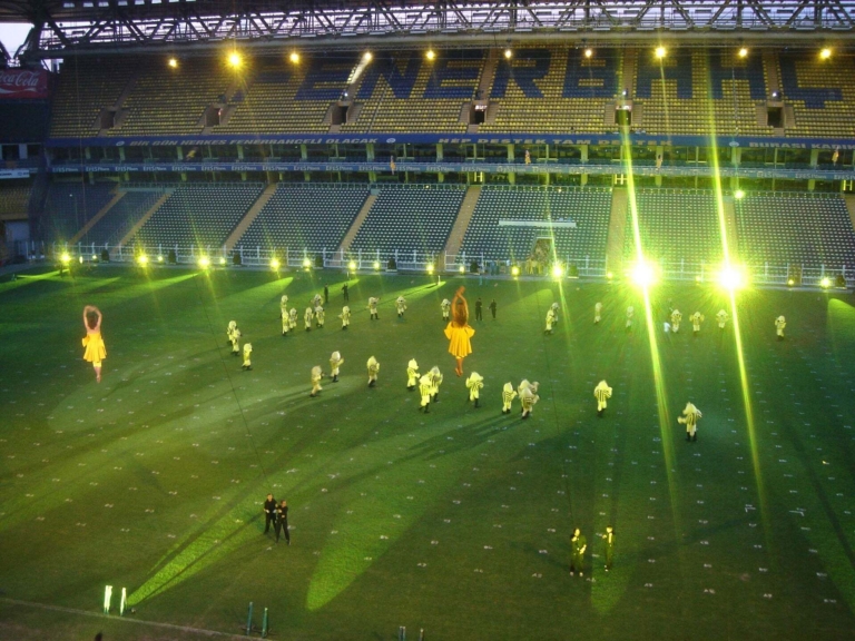 Fenerbahce Soleni 43