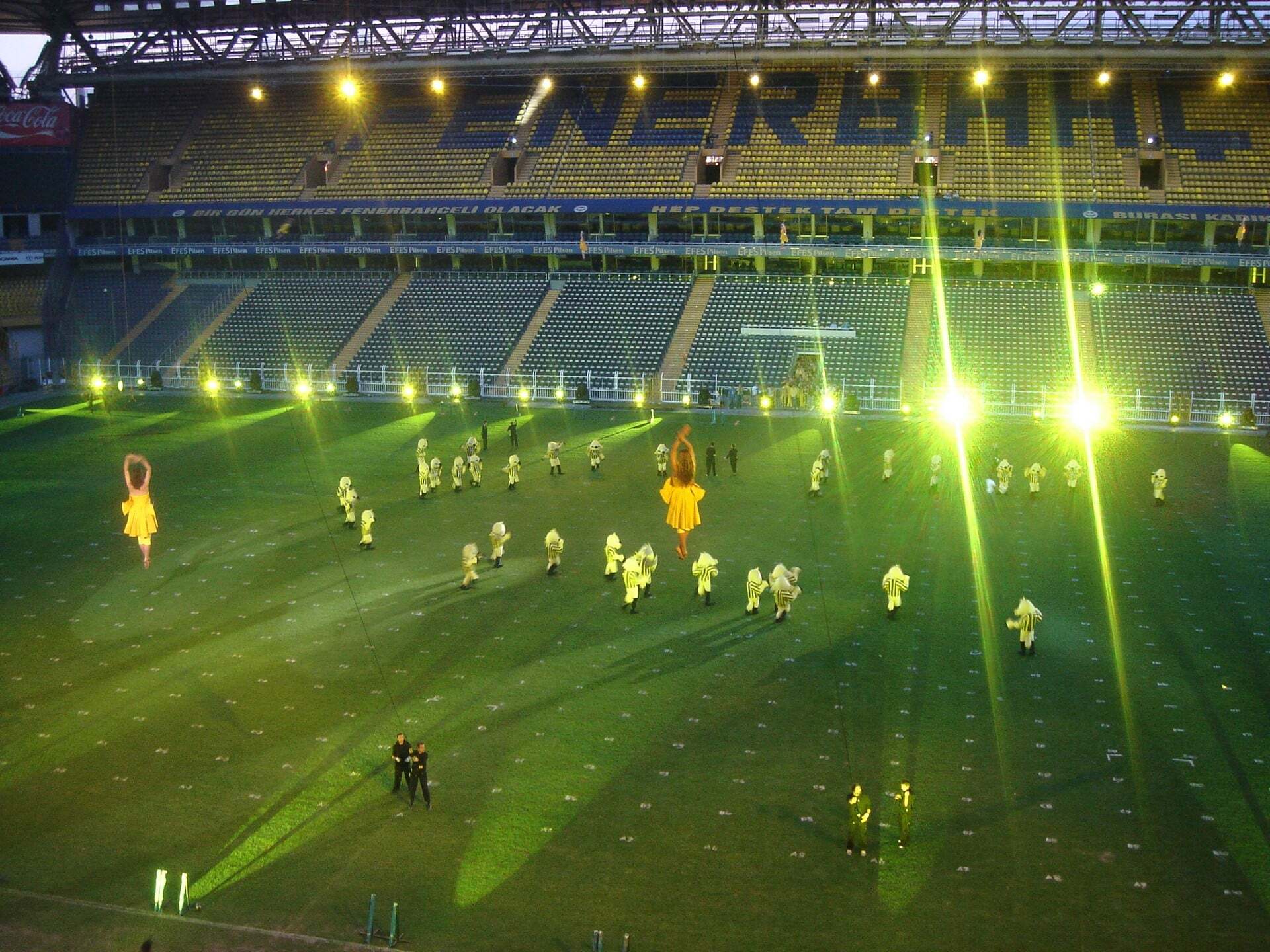 Fenerbahce Soleni 43
