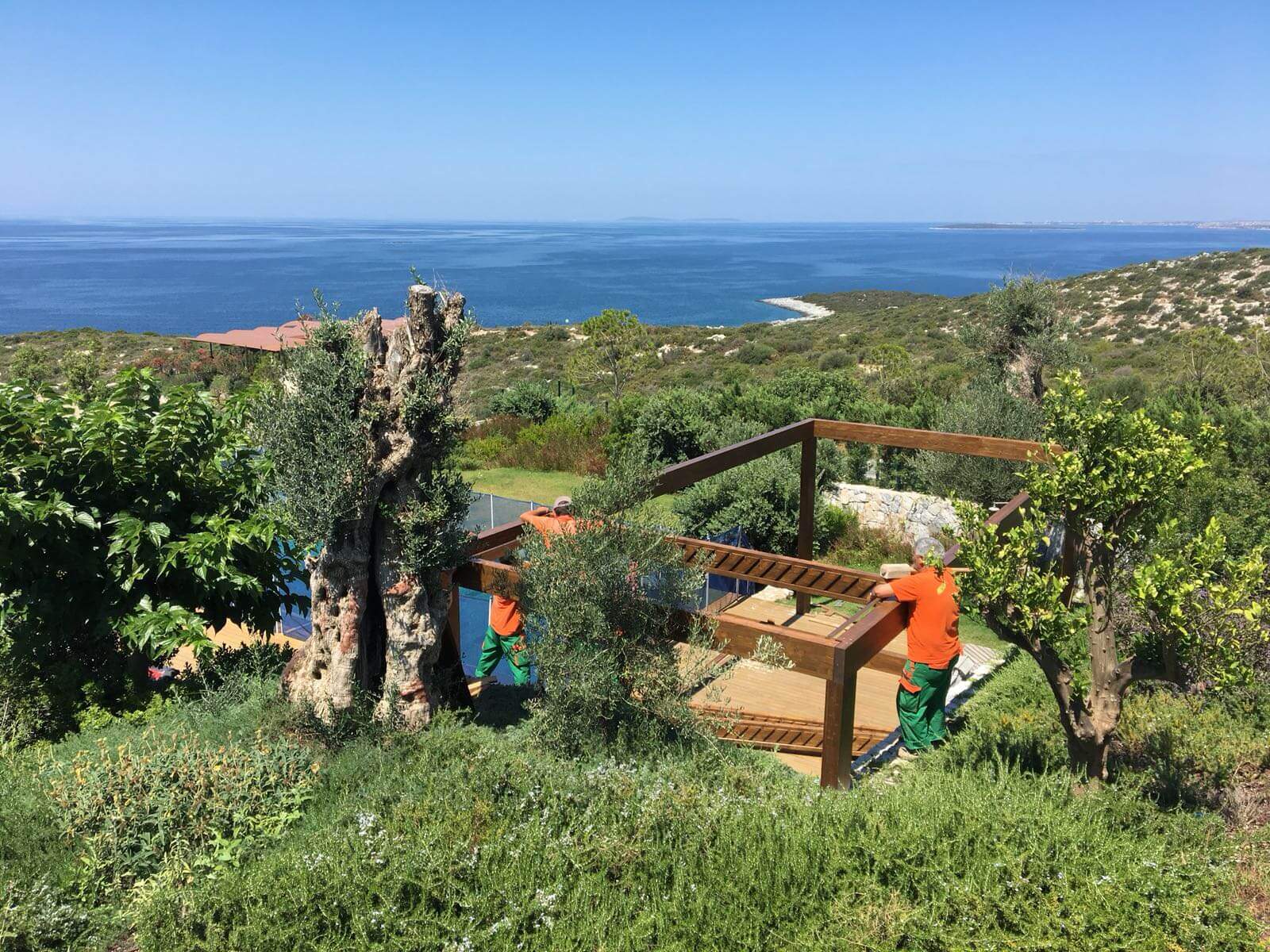 Bodrum Milas Pergola Projesi