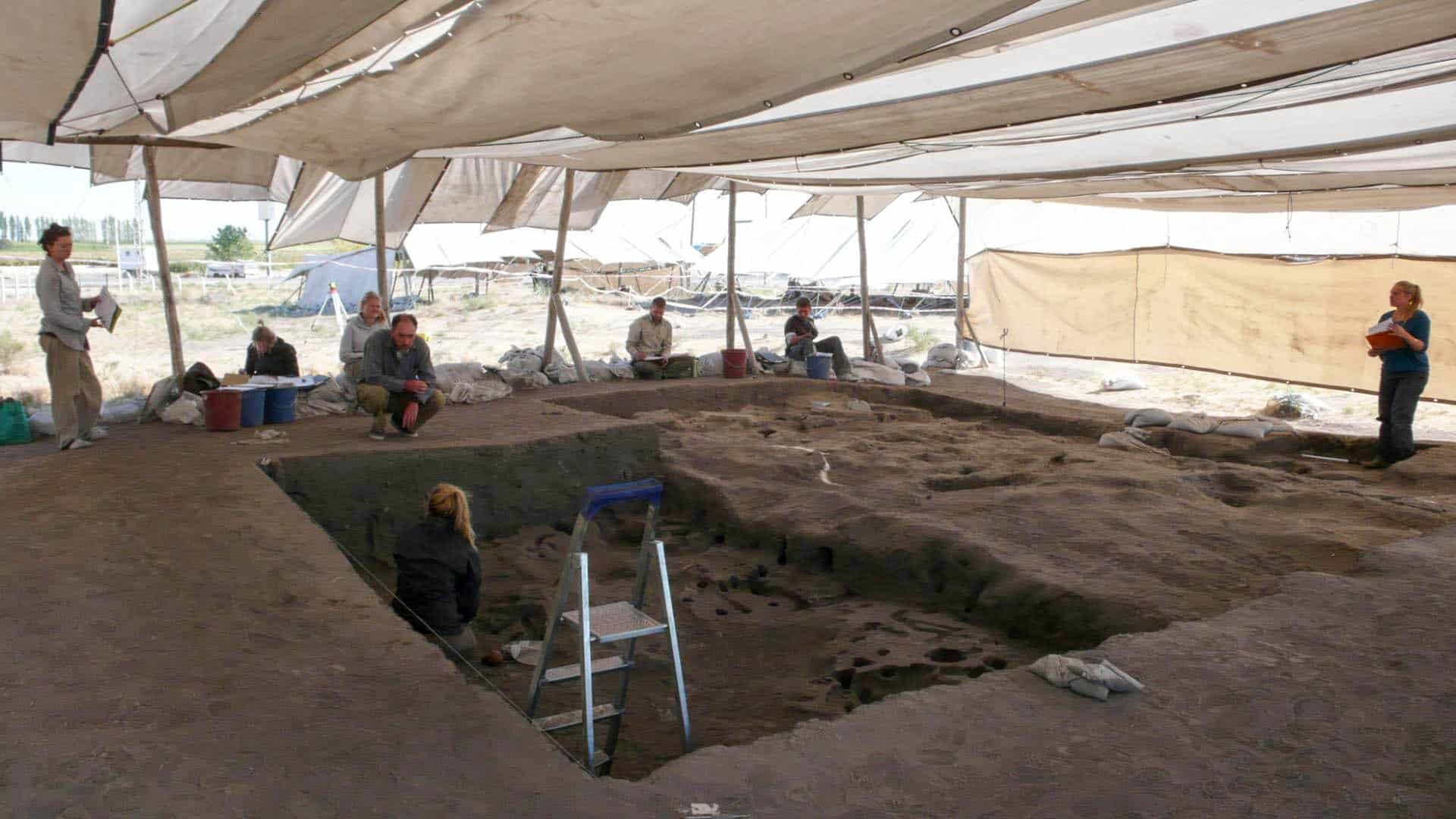 Boncuklu Höyük - Asmaz Ahşap Karkas Yapılar