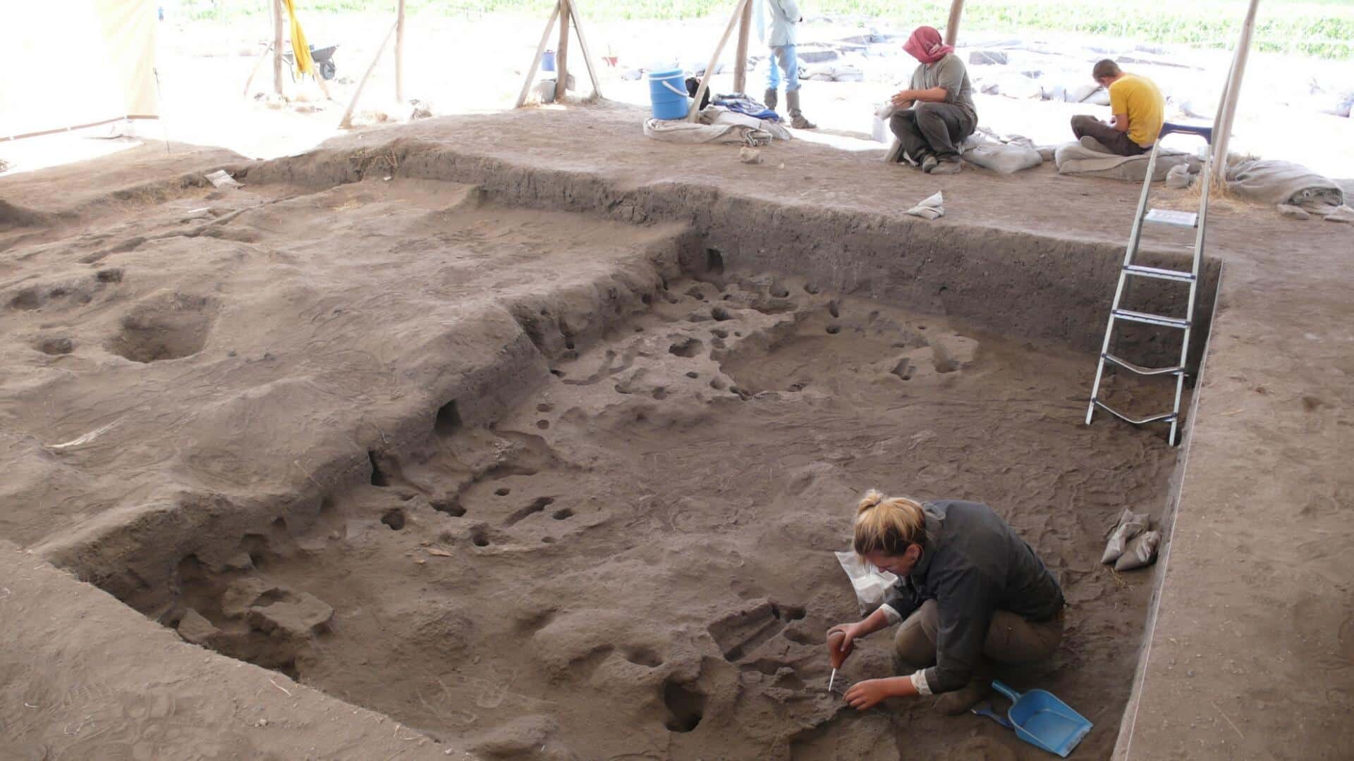 Boncuklu Höyük - Asmaz Ahşap Karkas Yapılar